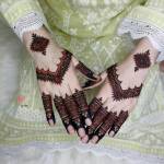 Anshika Singh profile picture