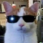 Aswin Raj Profile Picture