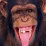 Erik lopez Profile Picture
